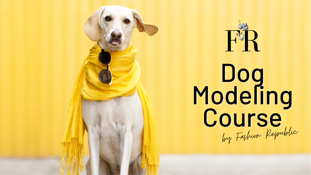 Dog Modeling Course