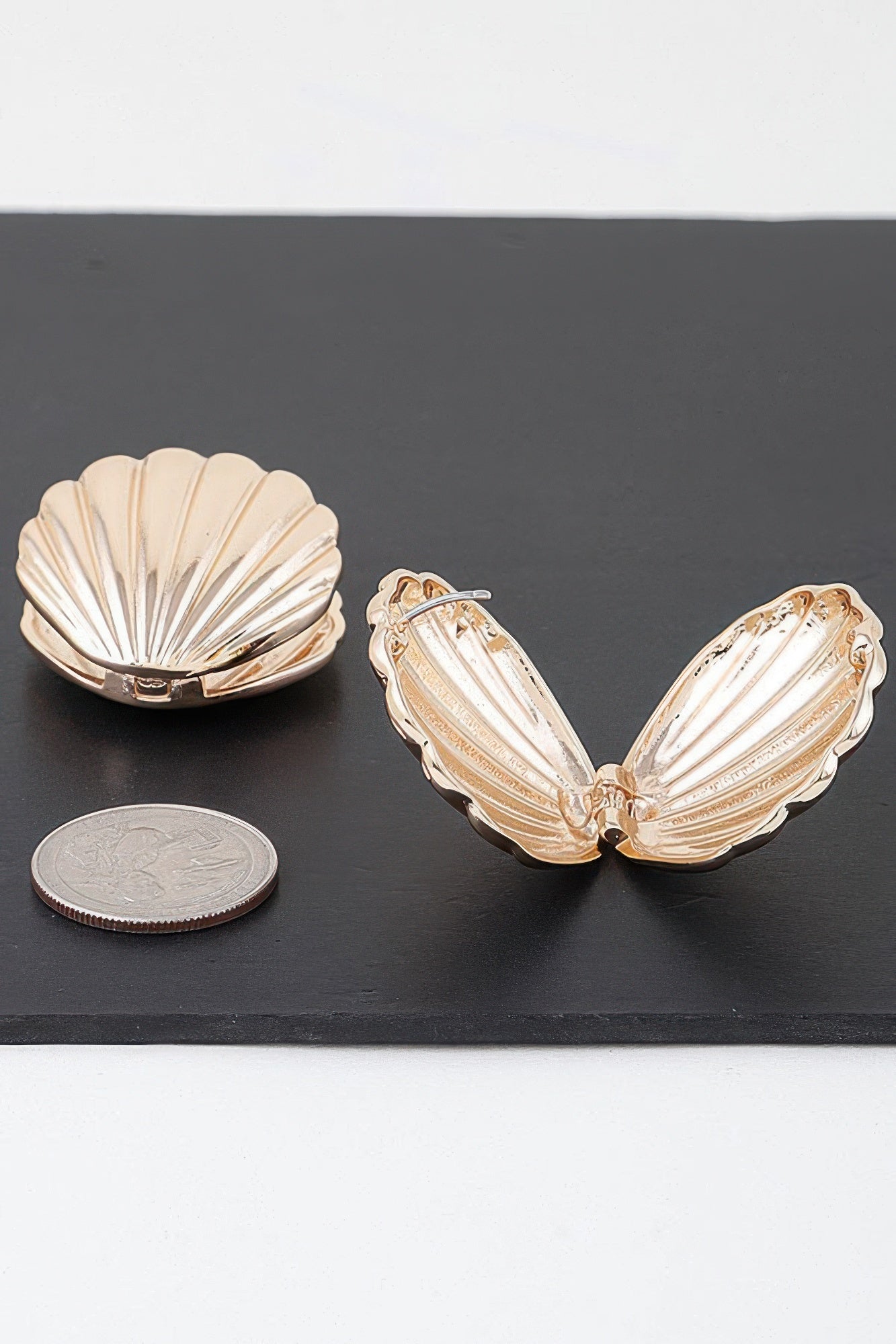 Modern Clam Shell Earrings