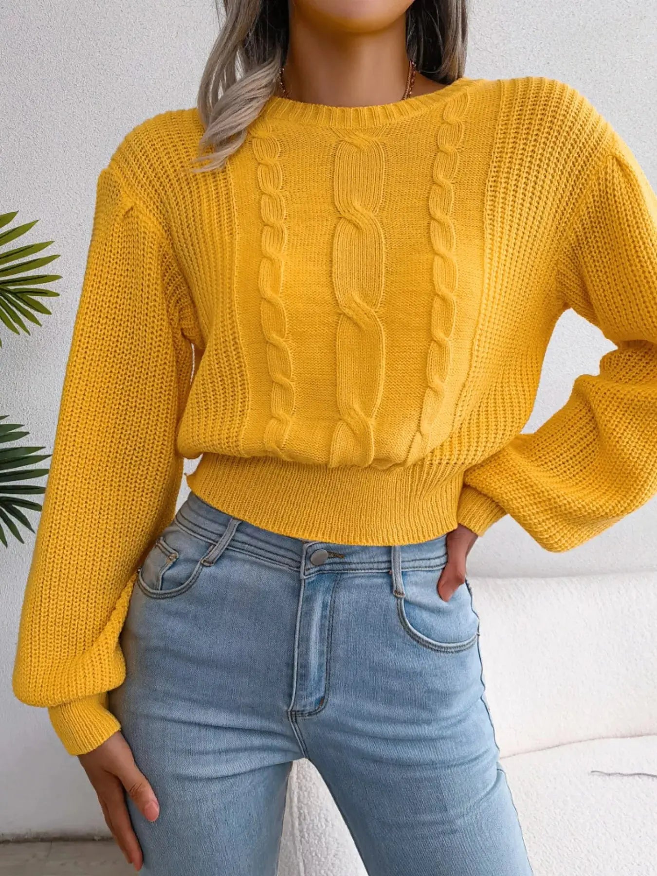 Cable Knit Crew Neck Cropped Sweater