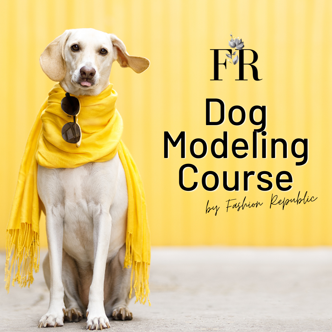 Dog Modeling Course