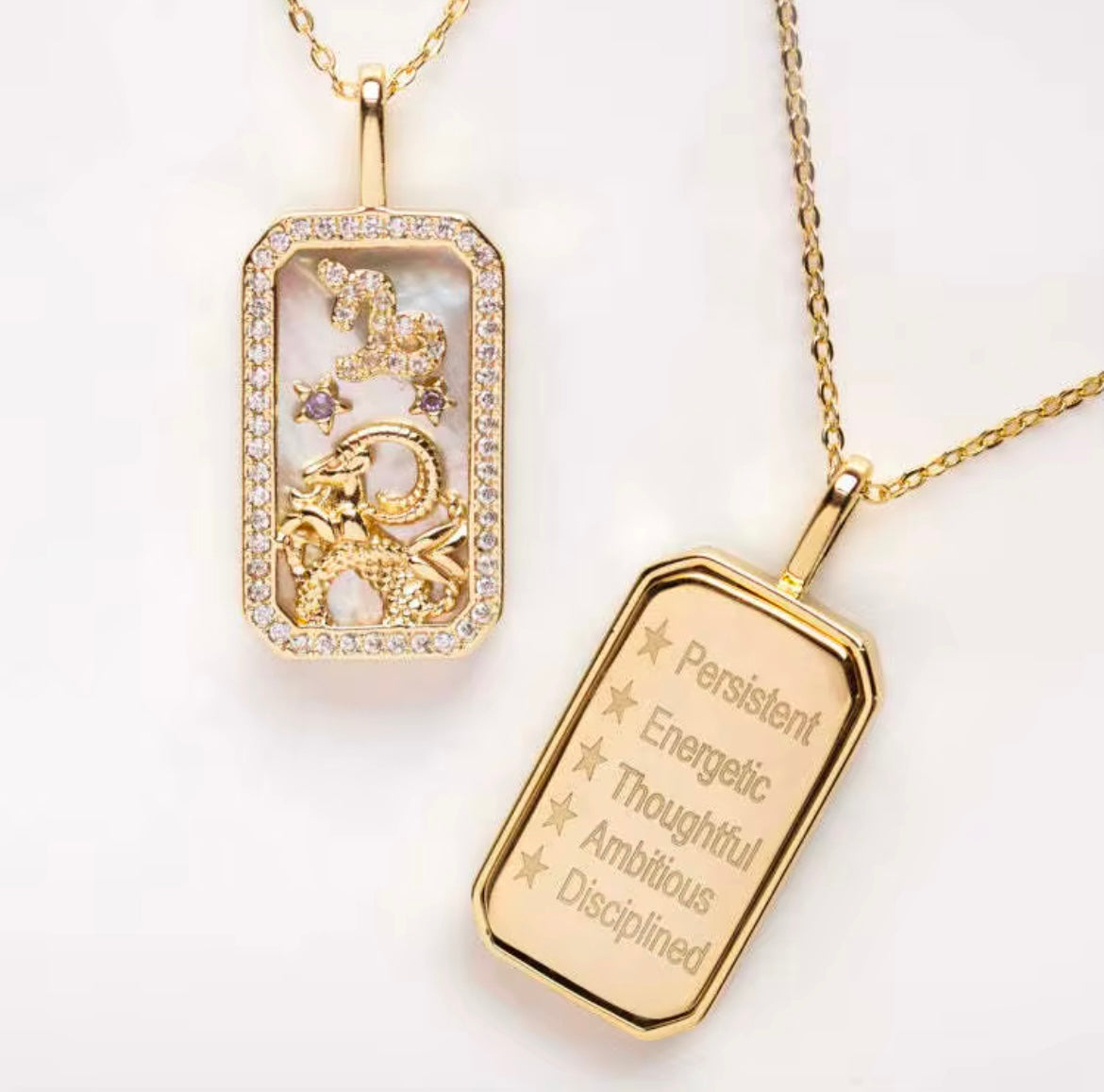 Zodiac Necklace - Double Sides