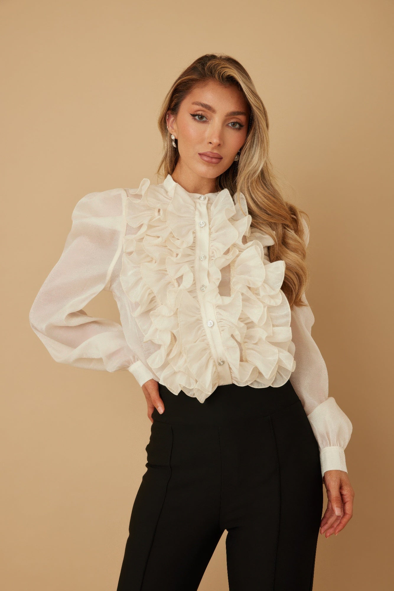 Ruffle Micro Crystal Long Sleeve Blouse