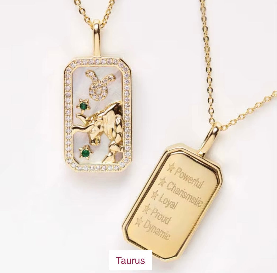 Zodiac Necklace - Double Sides