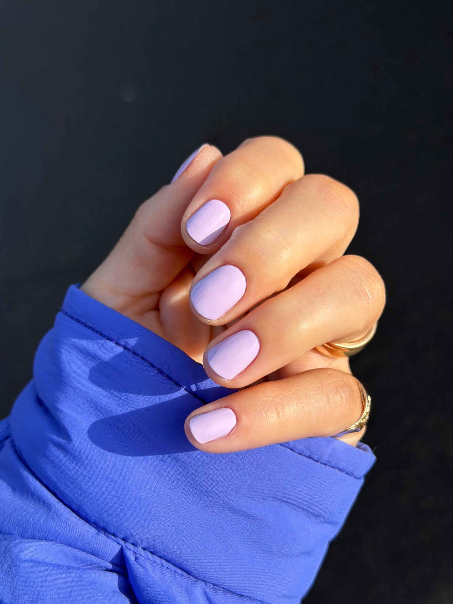Fall In Lavender