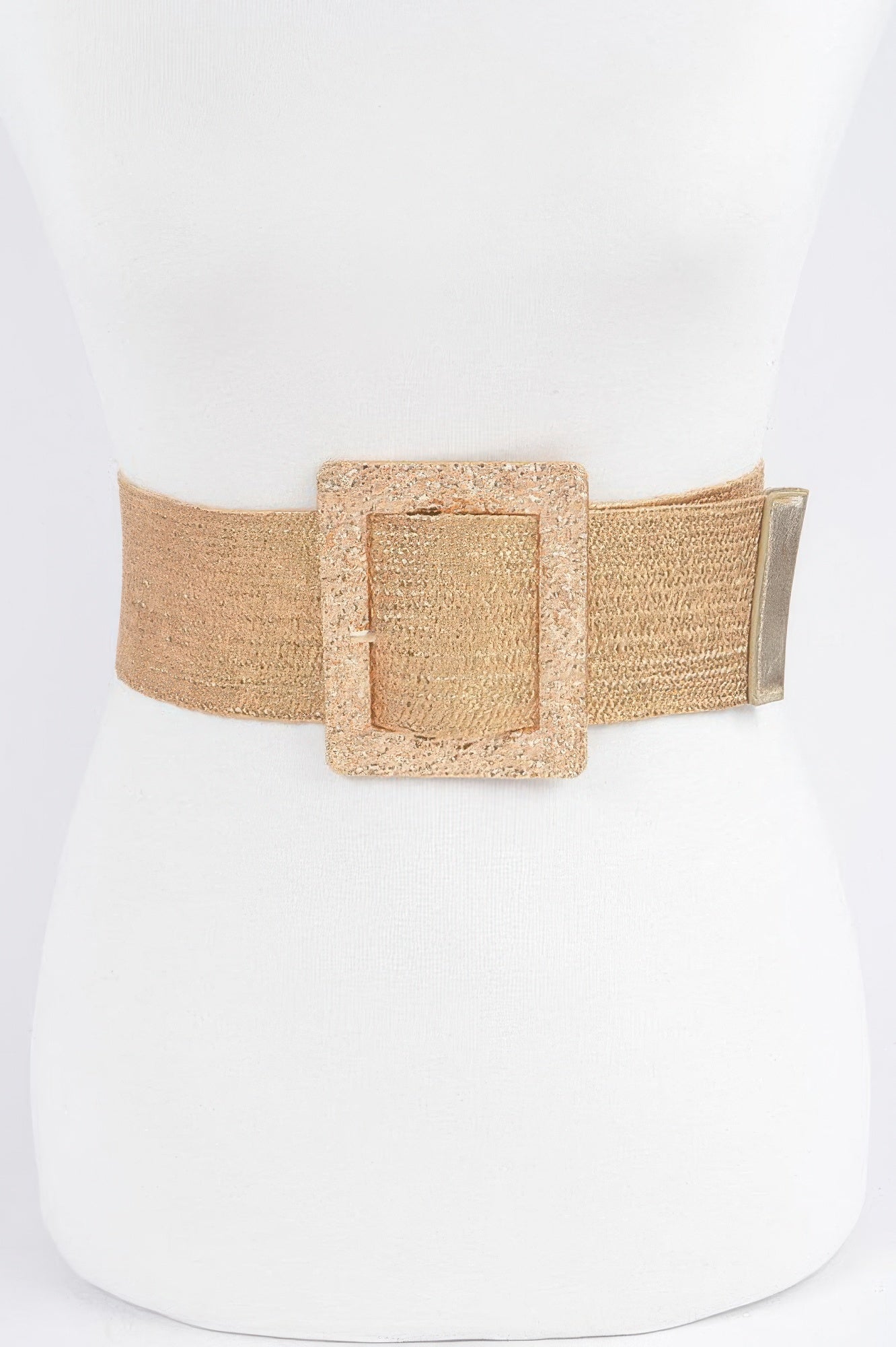 Wide Metal Buckle Clear Belt