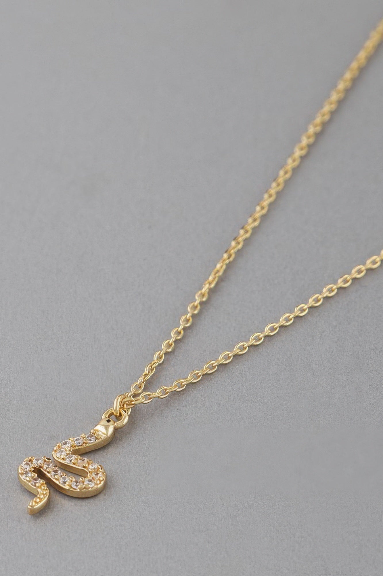 Rhinestone Snake Pendant Necklace
