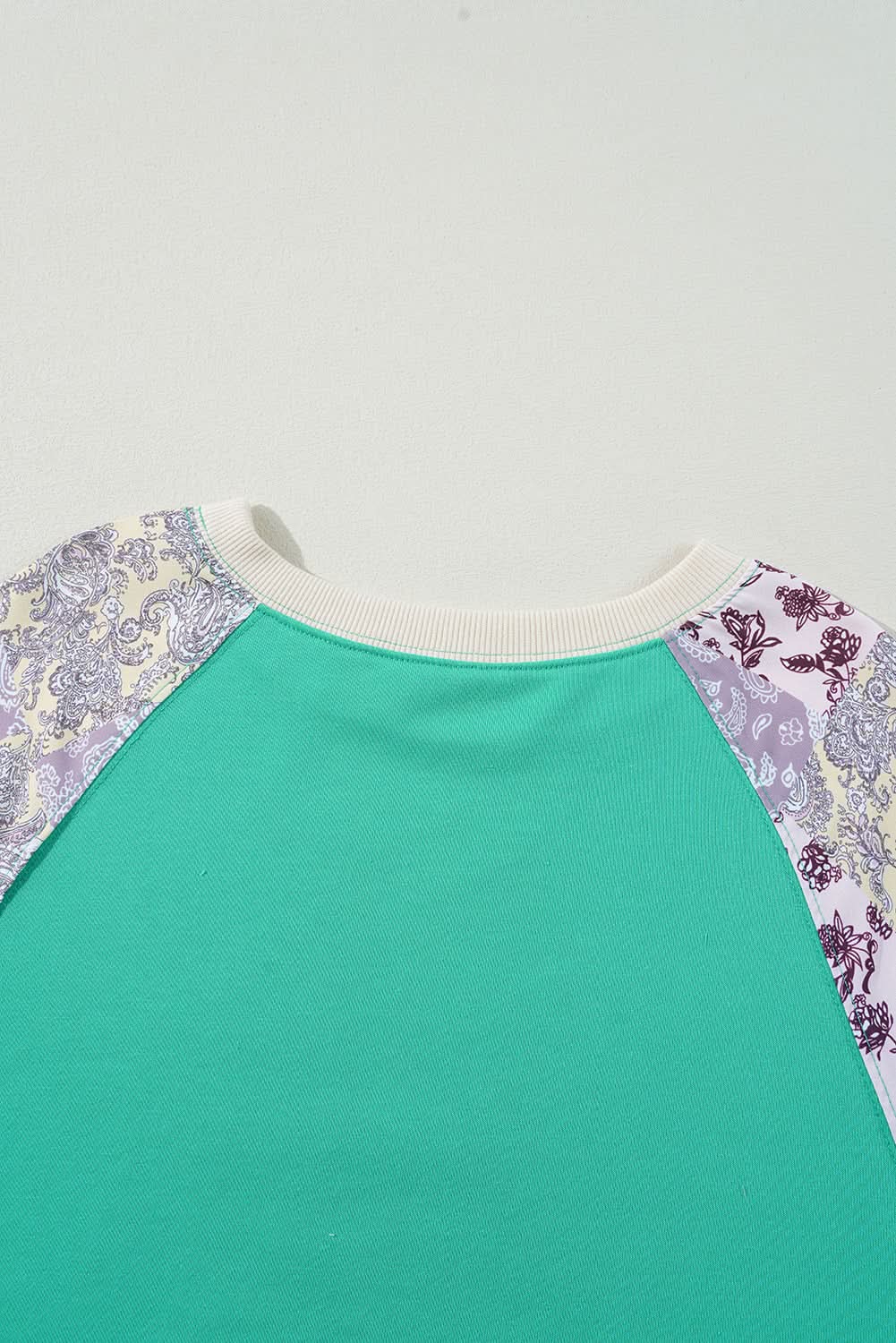 Women's Sweatshirt Sweatshirt - Soft & Comfy Daily Wear - Sky Blue Pullover