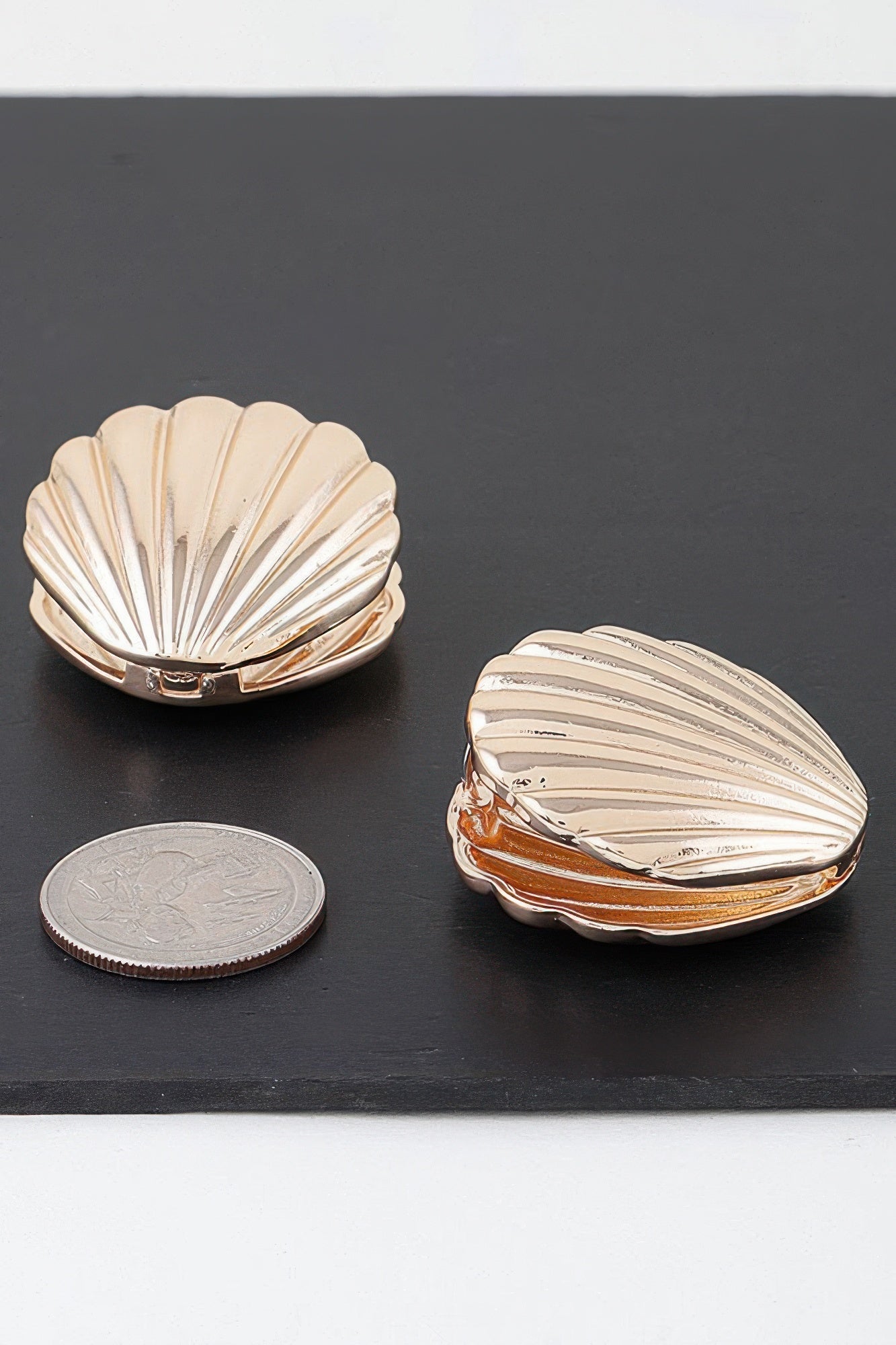 Modern Clam Shell Earrings