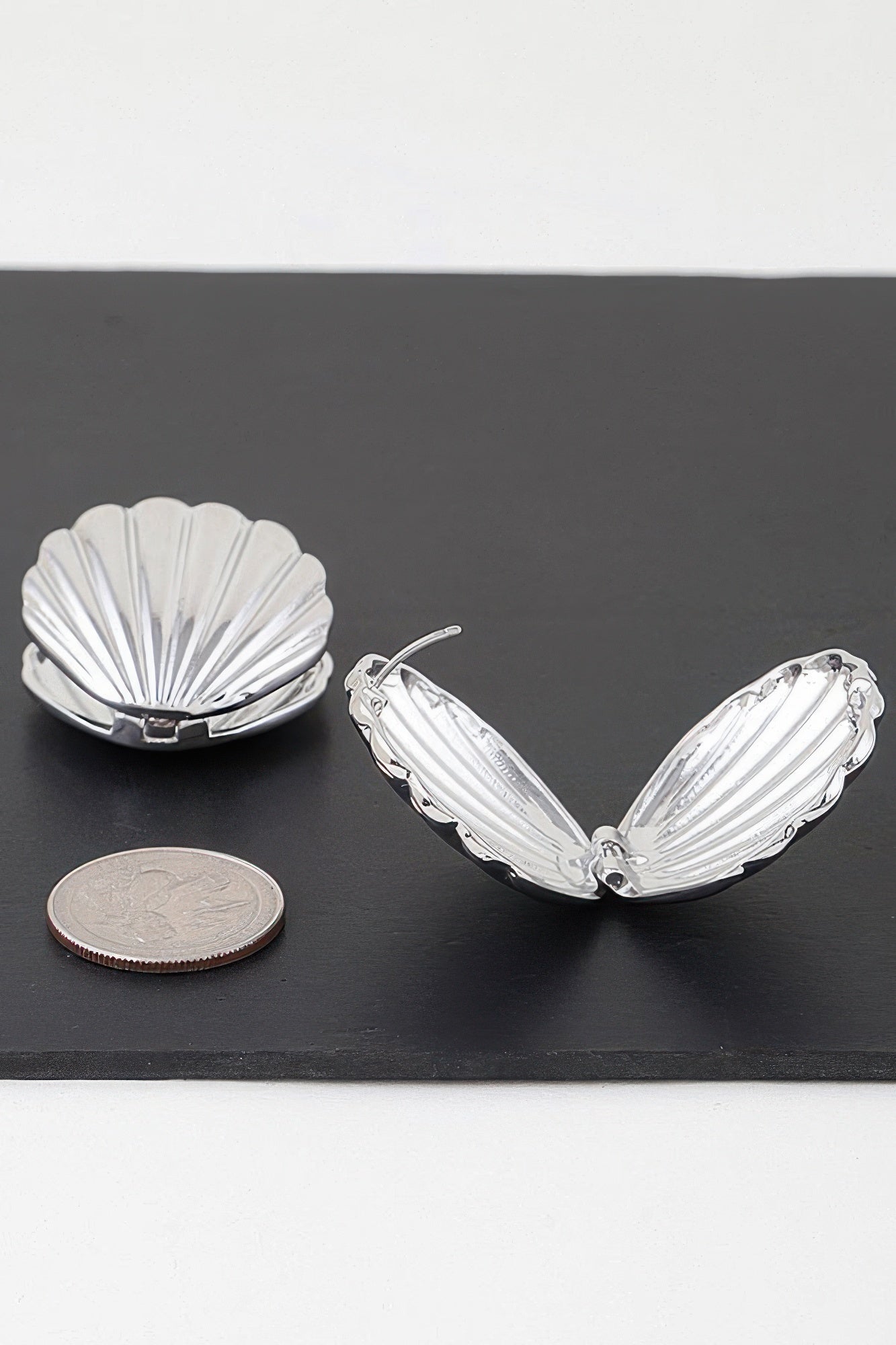 Modern Clam Shell Earrings