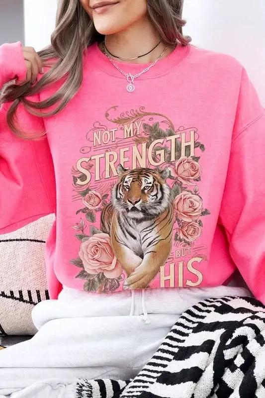 Color Bear Tiger Graphic Unisex Sweatshirt Oversized