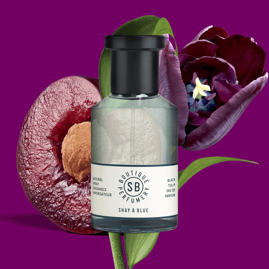 Black Tulip Fragrance 3.4oz